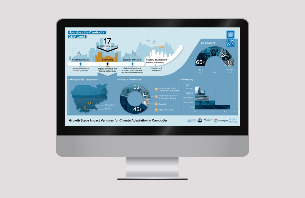 UNDP data visualization design