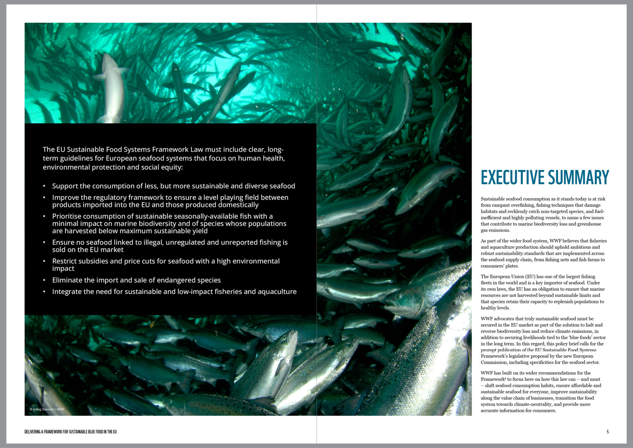 WWF Seafood report design_03