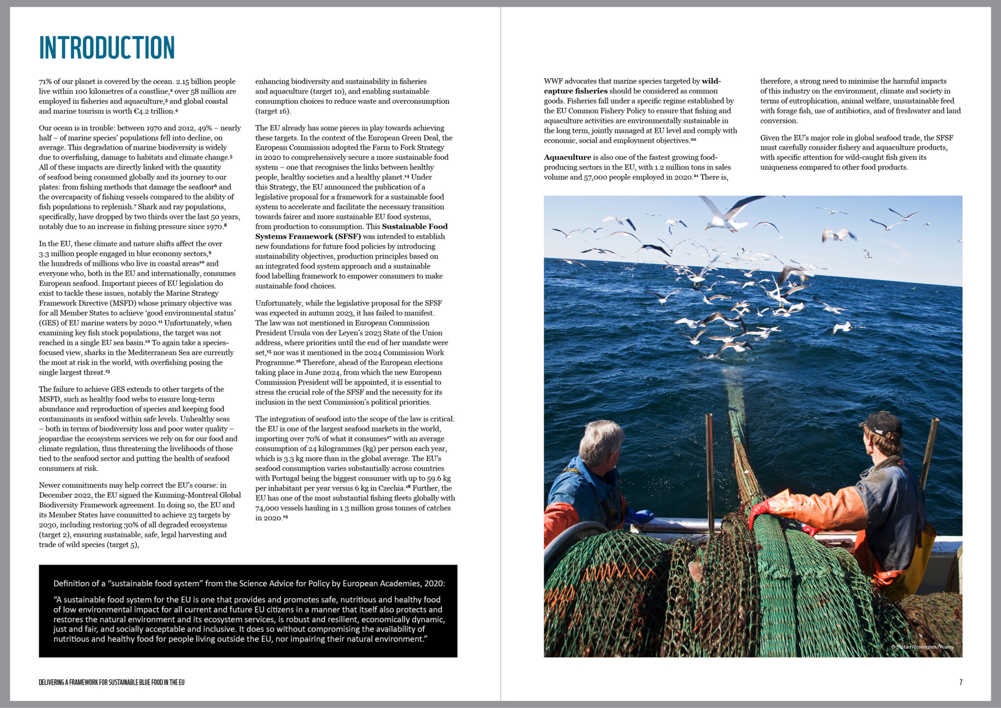 WWF Seafood report design_04