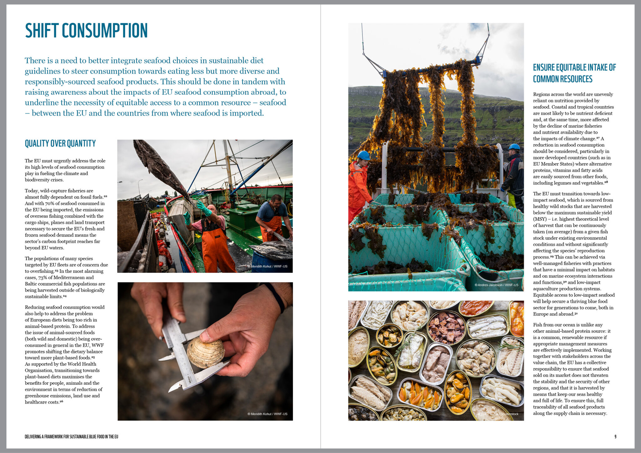 WWF Seafood report design_05