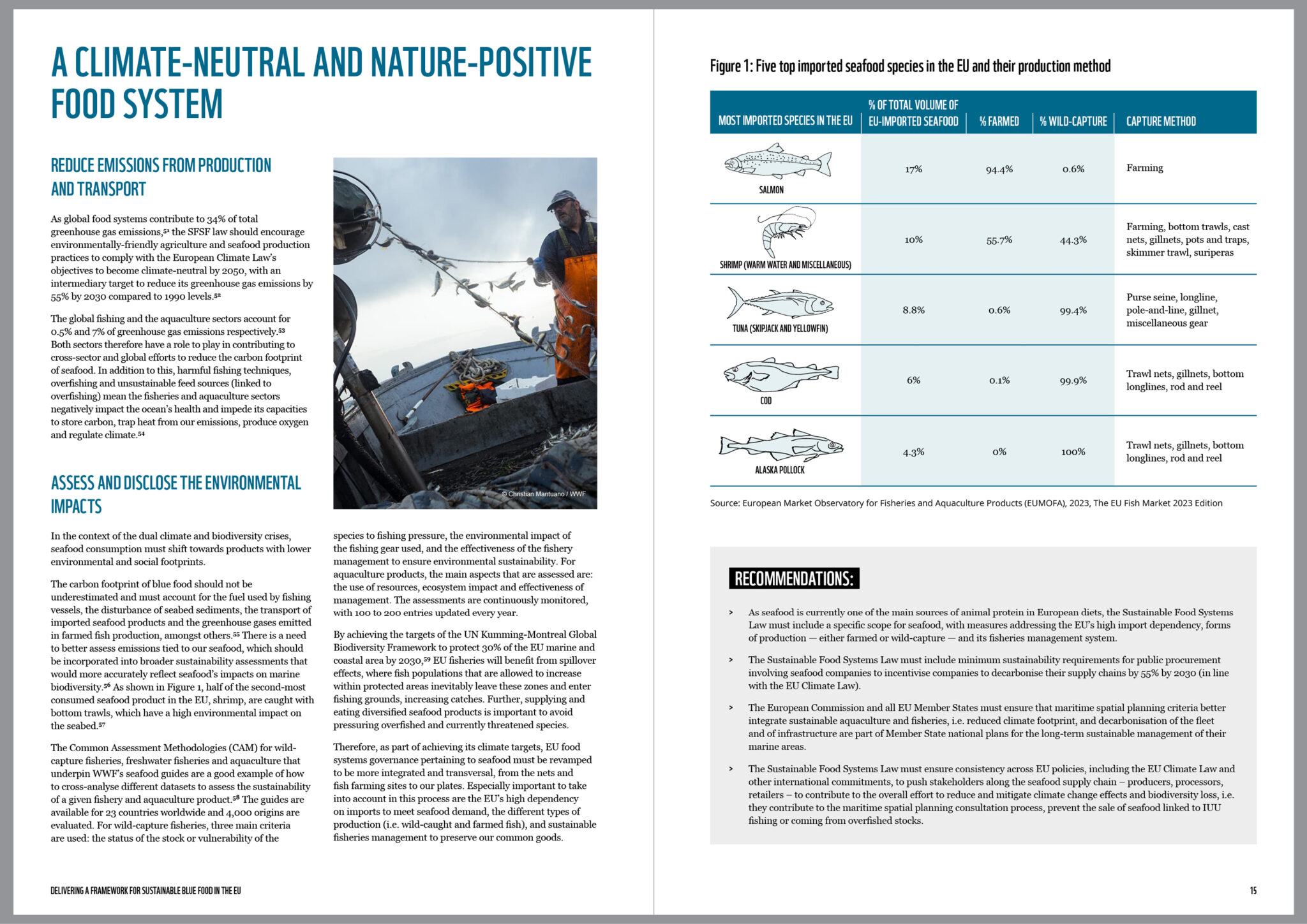 WWF Seafood report design_08